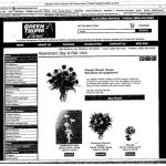 Domain Name Lawsuits Are Stupid (and the Initial Interest Confusion Doctrine Is Too)--Wooster Floral v. Green Thumb
